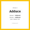 กริยา 3 ช่อง: Adduce ช่อง 2 Adduce ช่อง 3 คืออะไร, กริยาช่อง 1 Adduce กริยาช่อง 2 Adduced กริยาช่อง 3 Adduced หมวด Regular Verb หมวด Regular Verb