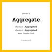 กริยา 3 ช่อง ของ Aggregate: Aggregate (ช่อง 1), Aggregated (ช่อง 2), Aggregated (ช่อง 3) - Regular Verb