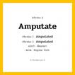 กริยา 3 ช่อง ของ Amputate: Amputate (ช่อง 1), Amputated (ช่อง 2), Amputated (ช่อง 3) - Regular Verb
