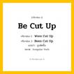 กริยา 3 ช่อง: Be Cut Up ช่อง 2 Be Cut Up ช่อง 3 คืออะไร, กริยาช่อง 1 Be Cut Up กริยาช่อง 2 Were Cut Up กริยาช่อง 3 Been Cut Up แปลว่า ถูกตัดขึ้น หมวด Irregular Verb หมวด Irregular Verb