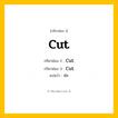 กริยา 3 ช่อง: Cut ช่อง 2 Cut ช่อง 3 คืออะไร, กริยาช่อง 1 Cut กริยาช่อง 2 Cut กริยาช่อง 3 Cut แปลว่า ตัด หมวด Irregular Verb