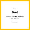 กริยา 3 ช่อง: Feet ช่อง 2 Feet ช่อง 3 คืออะไร, กริยาช่อง 1 Feet กริยาช่อง 2 คำว่า &lt;b&gt;Feet&lt;/b&gt; ไม่ใช่คำกริยา หมวด ไม่ใช่คำกริยา หมวด ไม่ใช่คำกริยา