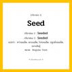 กริยา 3 ช่อง ของ Seed: Seed (ช่อง 1), Seeded (ช่อง 2), Seeded (ช่อง 3) - Regular Verb