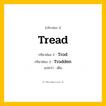 กริยา 3 ช่อง: Tread ช่อง 2 Tread ช่อง 3 คืออะไร, กริยาช่อง 1 Tread กริยาช่อง 2 Trod กริยาช่อง 3 Trodden แปลว่า เดิน หมวด Irregular Verb