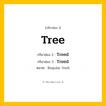 กริยา 3 ช่อง: Tree ช่อง 2 Tree ช่อง 3 คืออะไร, กริยาช่อง 1 Tree กริยาช่อง 2 Treed กริยาช่อง 3 Treed หมวด Regular Verb หมวด Regular Verb